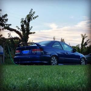 Meet your Posher, Ricky